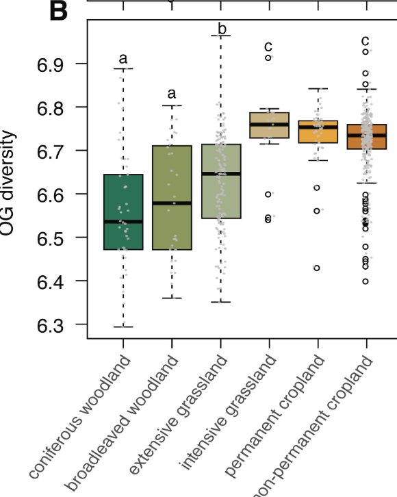 Soil biodiversity DNA archaea
