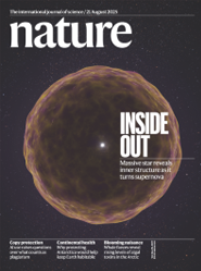 Securing the forest carbon sink for the European Union’s climate ambition