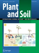Soil zinc fertilisation does not increase maize yields in 17 out of 19 sites in Sub-Saharan Africa but improves nutritional maize quality in most sites