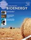 An energy-biochar chain involving biomass gasification and rice cultivation in Northern Italy