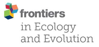 Optimizing the delivery of multiple ecosystem goods and services in agricultural systems